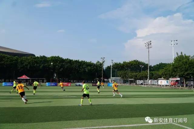 荷兰队今年主场进球已达23个 追平队史最佳纪录